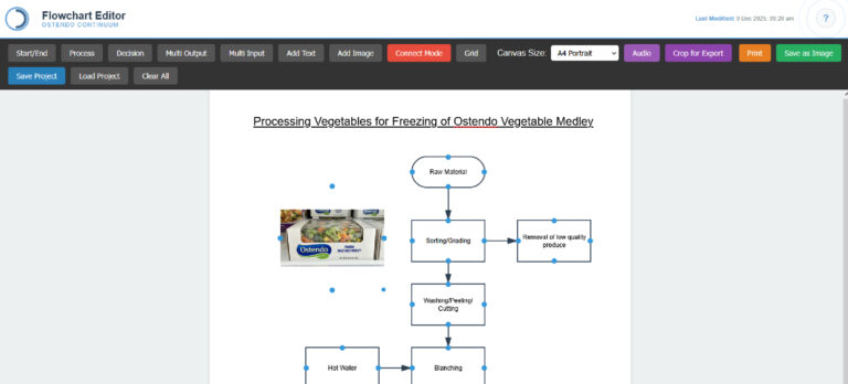 Flowchart Editor | Workflow Visualization Tools | Ostendo Asia